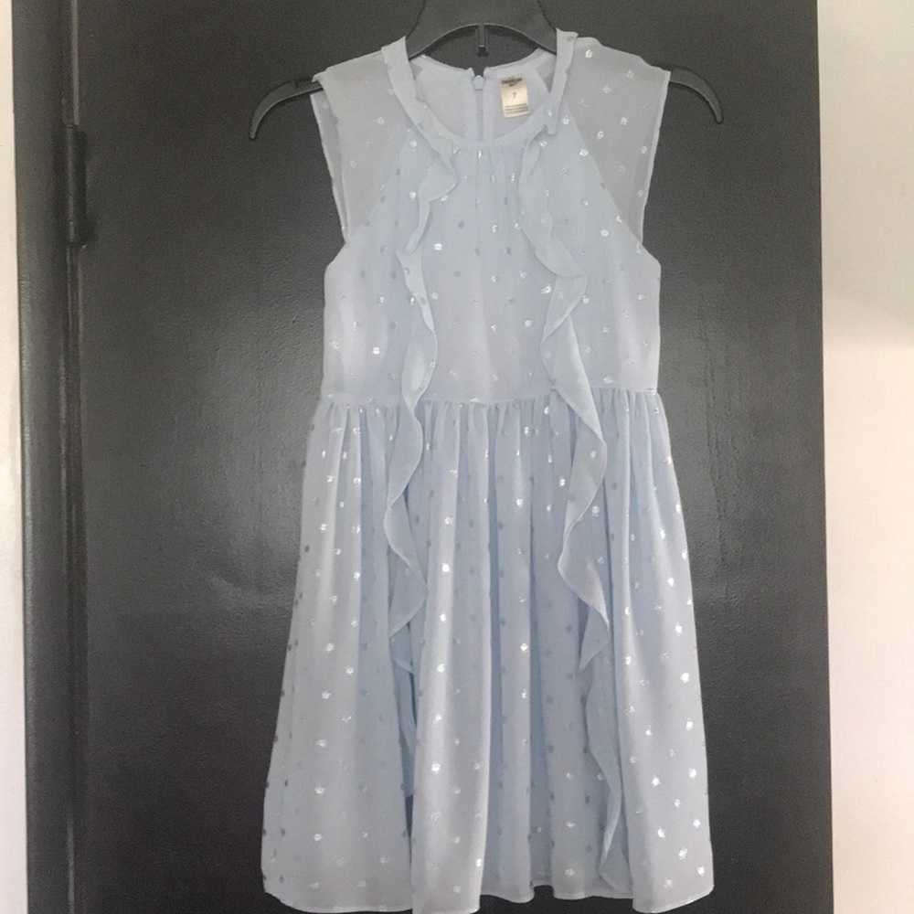 OshKosh Girls Chiffon Ruffle dress